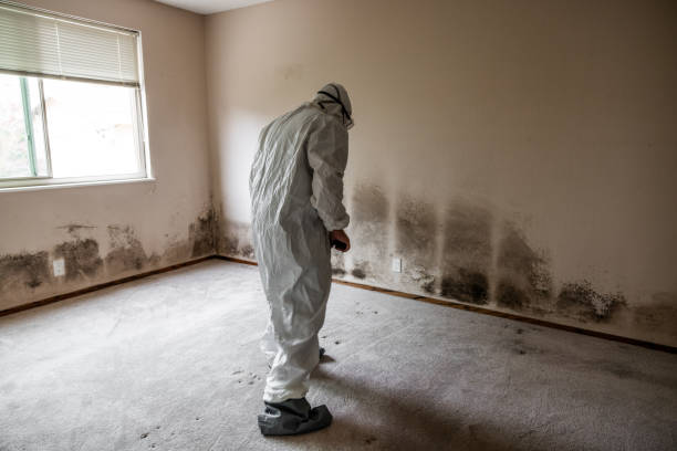 Water Damage Restoration in Muse, PA